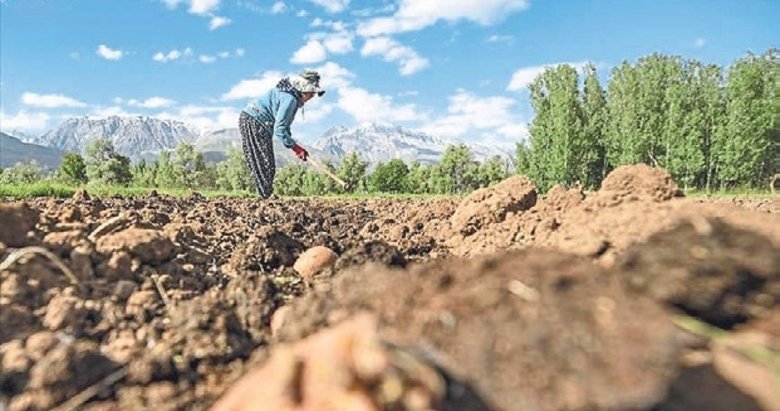 Çiftçilere 4.5 milyarlık destek ödemesi yapıldı
