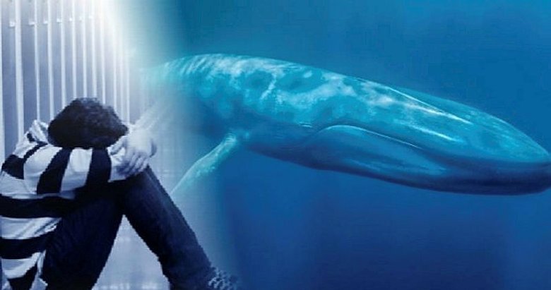Ölümlerin tek sebebi mavi balina mı?