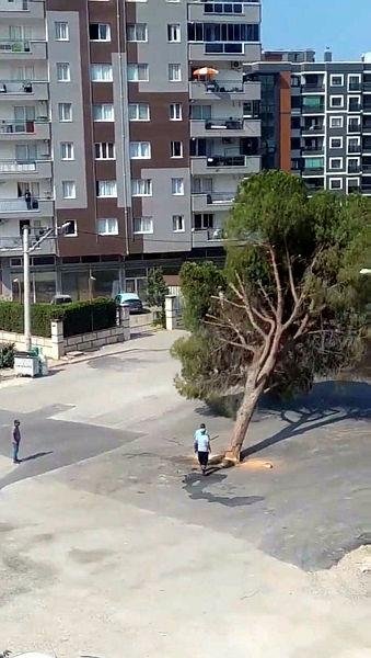 İzmir’de yol yapımı için ağaç kesilmesine tepki yağıyor