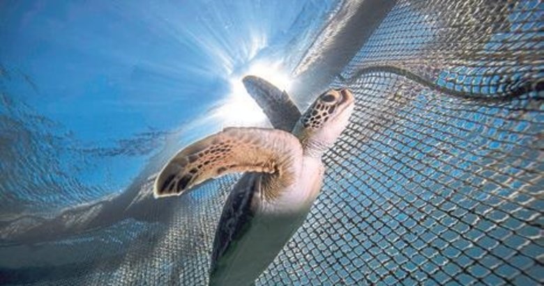 Kaplumbağaların plastikle savaşı