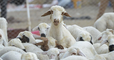 Tarımda yeni teşvik kapısı