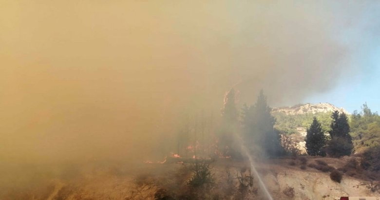 İzmir’de çıkan orman yangını büyümeden söndürüldü!