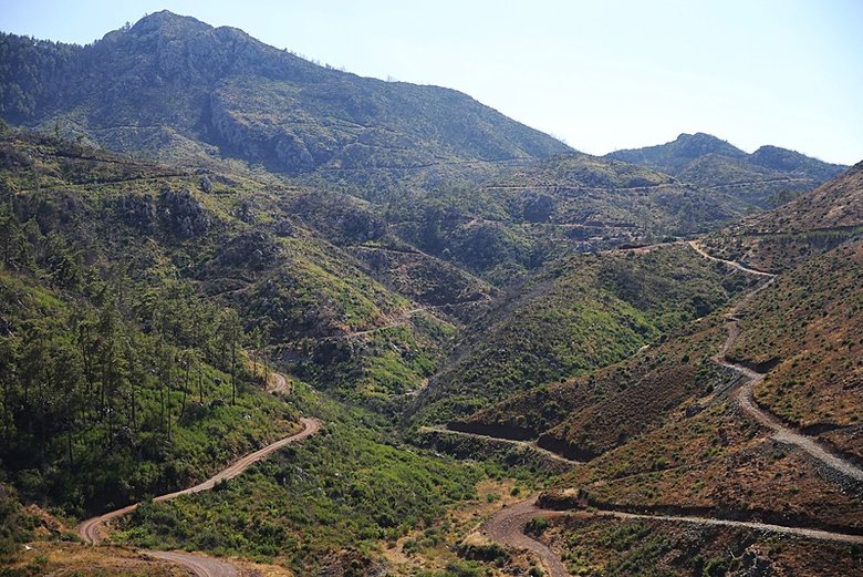 Binlerce hektar alan küle dönmüştü! Muğla’da sevindiren görüntü
