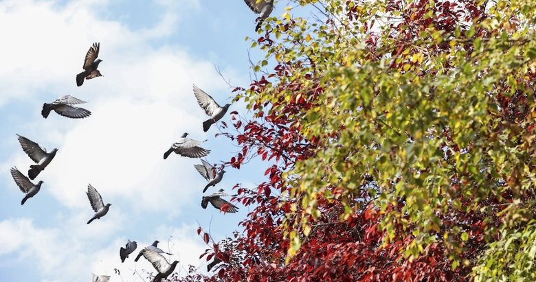 İzmir’de bugün hava nasıl olacak? 23 Ekim Cumartesi hava durumu...