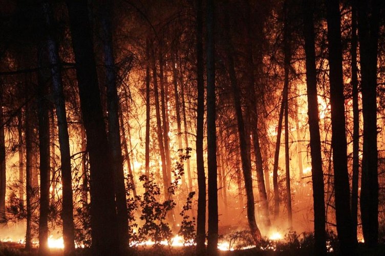 Muğla’ ve Aydın’da ciğerlerimiz yandı! Yılın başından bu yana çıkan 502 yangında 819 hektar alan yandı