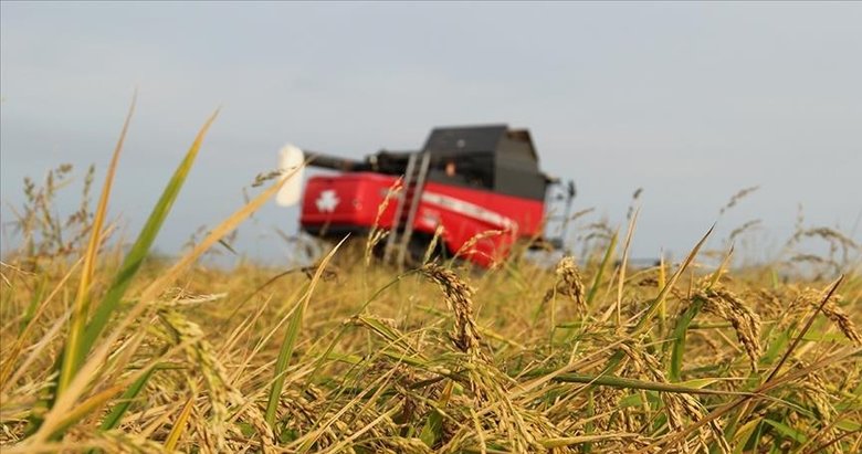 Türksat’tan yapay zeka destekli tarımsal üretim takibi