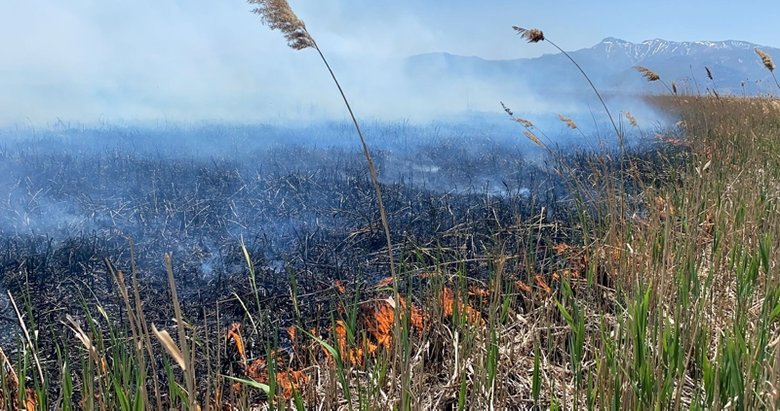 Afyon’da Eber Gölü’nde yangın