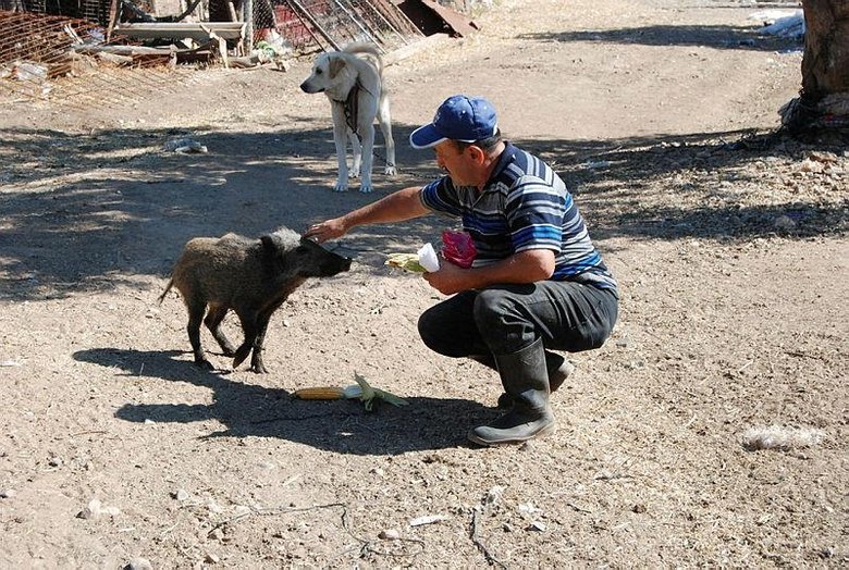 Köpek saldırısından kurtardı, şimdi peşinden ayrılmıyor