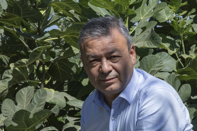 Denediği yöntemle incirde alandan 10 kat tasarruf sağladı
