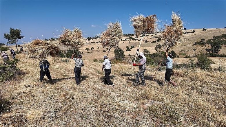 Manisa’da zorlu hububat hasadı yardımlaşmayla kolaylaşıyor