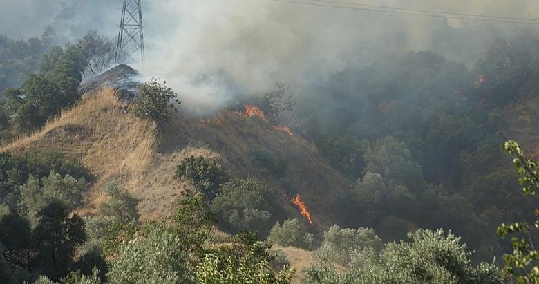 Son dakika: Bakan Yerlikaya duyurdu: Provokatif yangın paylaşımlarına işlem başlatıldı