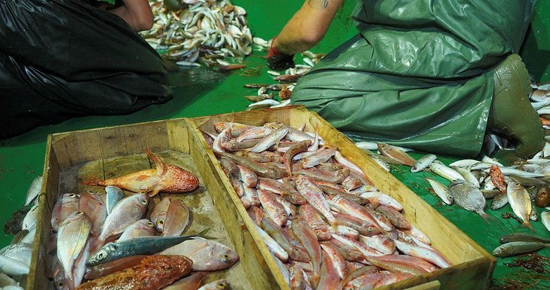 Balıkesir’de balıkçılar Vira bismillah dedi