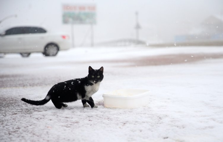 İzmir’de kar yağışı ne kadar devam edecek? Ege’de hangi illerde kar yağışı var?