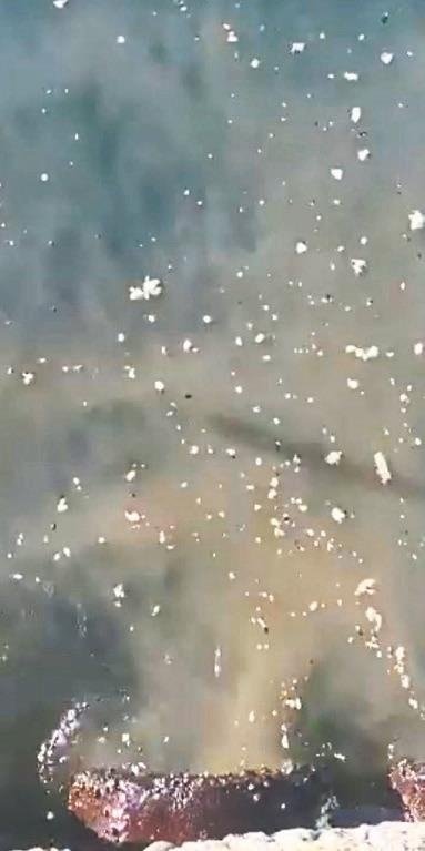 Bu denizde kim yüzer!