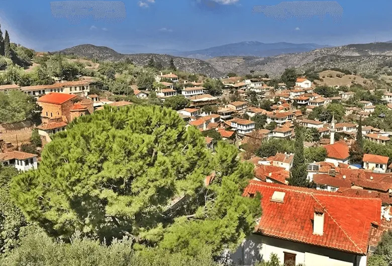 1790951601382.png