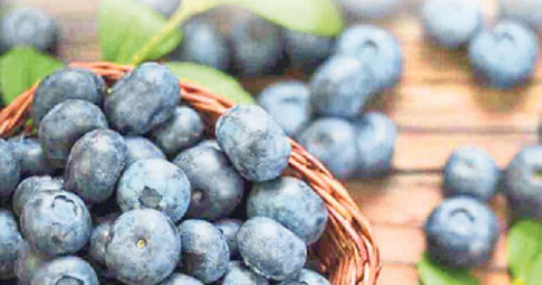 Hafızayı güçlendiren süper besin