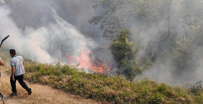 Son dakika: Bolu’da orman yangını! Havadan ve karadan müdahale