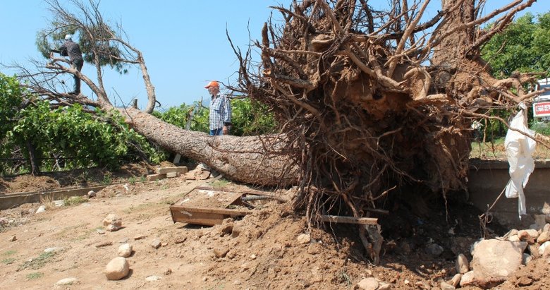 Manisa’da fırtınanın hasarı gün ağarınca ortaya çıktı
