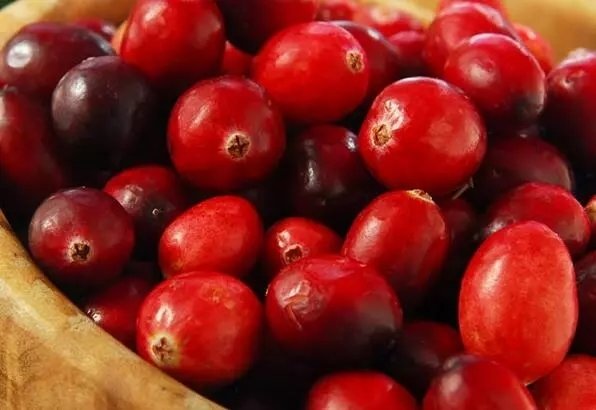 Turna yemişinin Cranberry faydaları nelerdir?