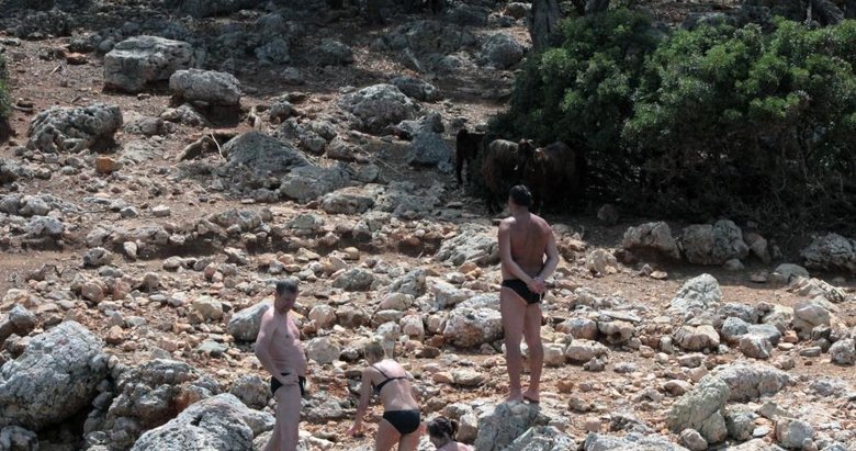 15 milyon dolarlık adanın sakinleri keçi ve tavşanlar