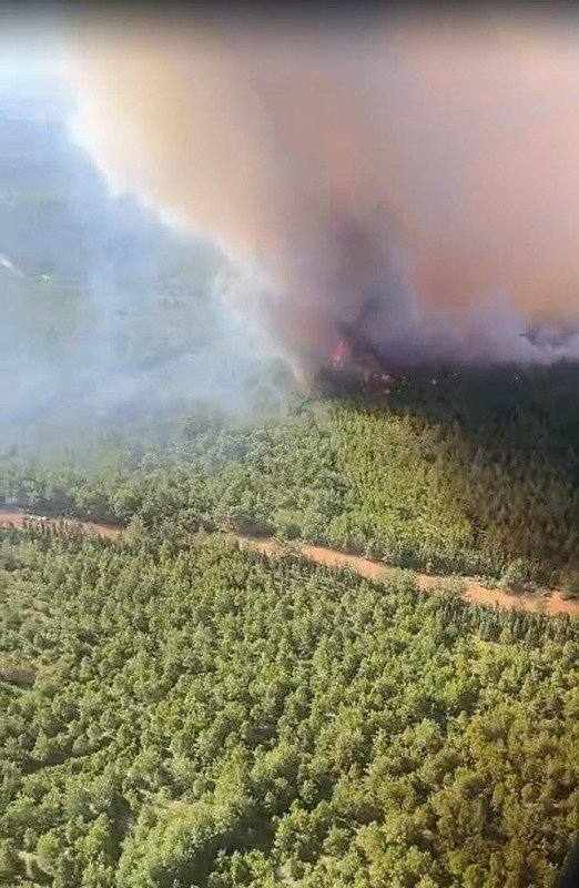 İzmir Buca’da yeni yangın! Müdahale ediliyor