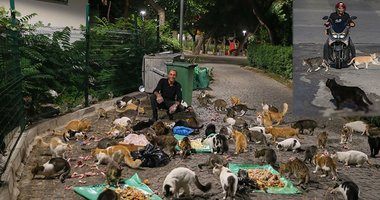 Motosikletiyle İzmir'i turluyor! Sesini duyan kedi ve köpekler bir anda hareketleniyor