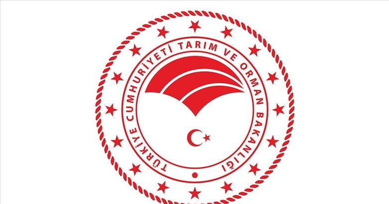 Orman Genel Müdürlüğü 1.146 sözleşmeli personel alıyor! Nasıl başvuru yapılır?