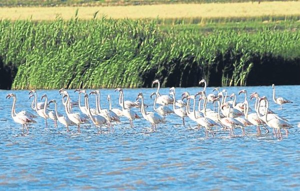 Karavanla gözden uzak tatil adresleri