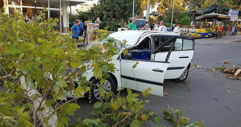 İzmir’de üstüne ağaç devrilen otomobilin sürücüsü yaralandı