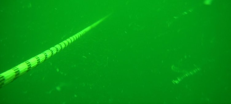 Müsilaj kabusu geri dönüyor mu? Uzmanı değerlendirdi