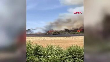 Son dakika: Çanakkale’de orman yangını!