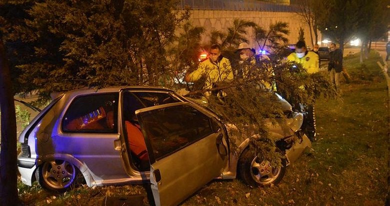 Ağaca çarpan aracın sürücüsü hayatını kaybetti