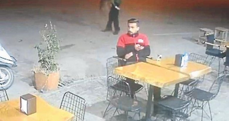 bodrum da pitbull dehseti mugla haberleri