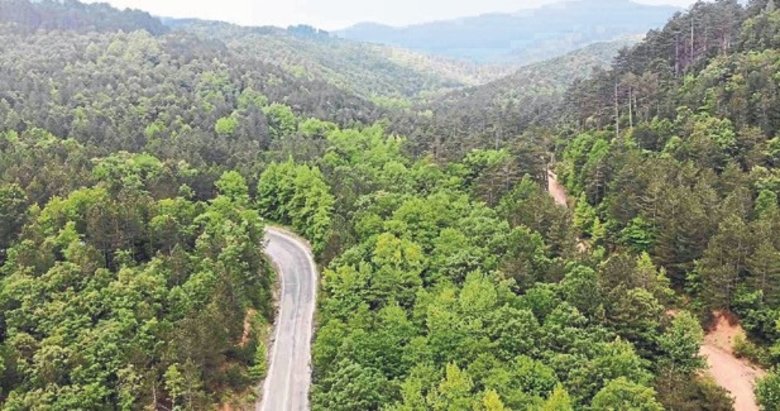 Çanakkale’de ormana girişler 1 Haziran’dan itibaren yasak