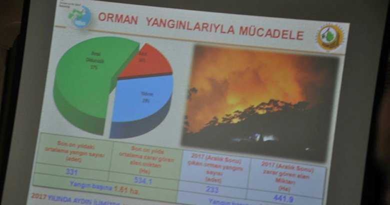 Aydın ve Muğla’da geçen yıl 442 hektarlık orman yandı