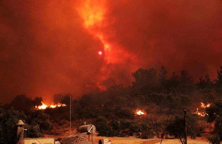 Muğla’ ve Aydın’da ciğerlerimiz yandı! Yılın başından bu yana çıkan 502 yangında 819 hektar alan yandı