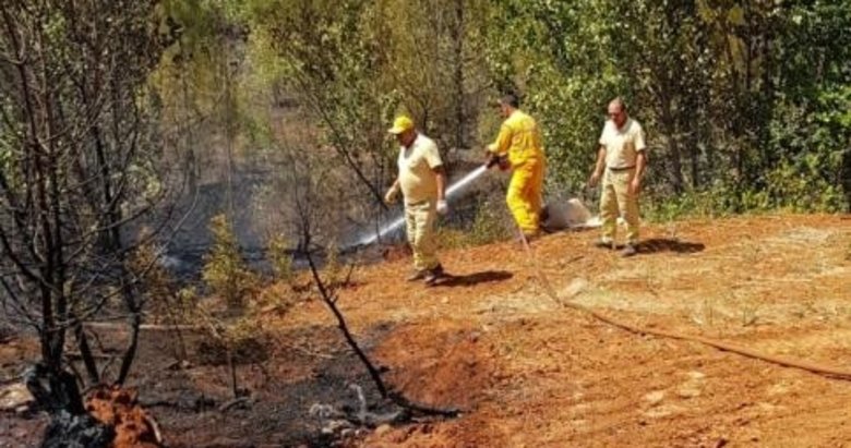 Denizli’deki orman yangınında kundaklama iddiası