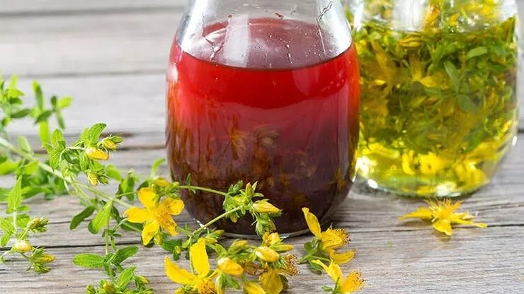 Kırmızı kantaron yağı faydaları nelerdir?