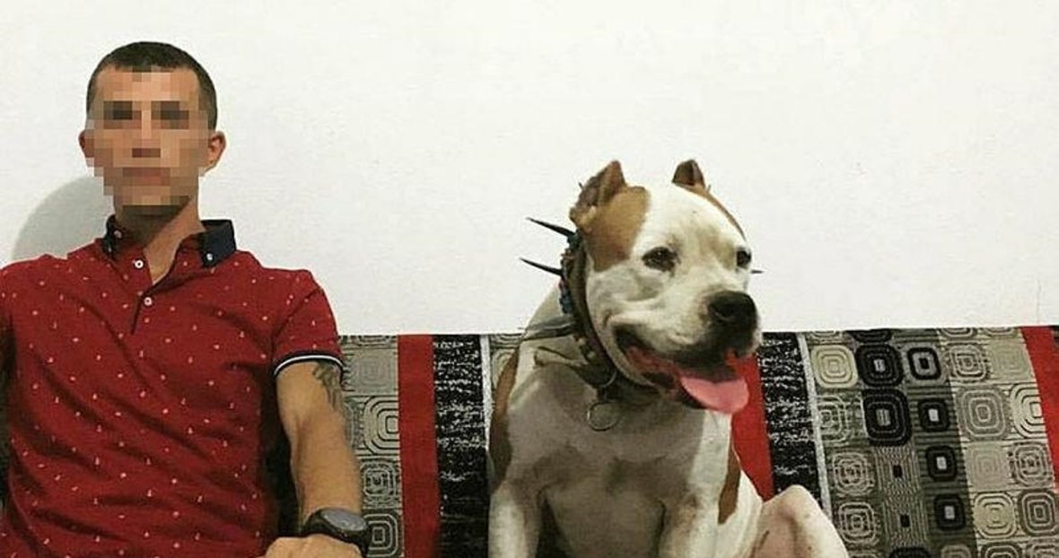 Denizli De Kopek Ciftligindeki Vahsi Cinayette Yeni Gelisme Denizli Haberleri Denizli De Kopek Ciftligindeki Vahsi Cinayette Yeni Gelisme Denizli Haberleri