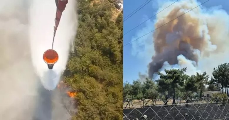Bornova’da orman yangını! Havadan karadan müdahale sürüyor