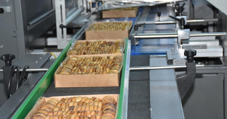 İhracat aşamasında geri dönen ürünler imha ediliyor