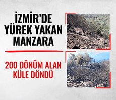 İzmir’deki yangında 200 dönüm alan küle döndü