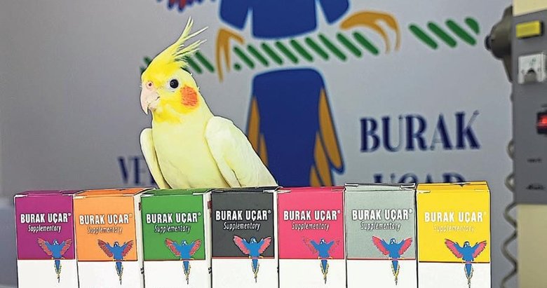 Kuş veterineri marka oldu