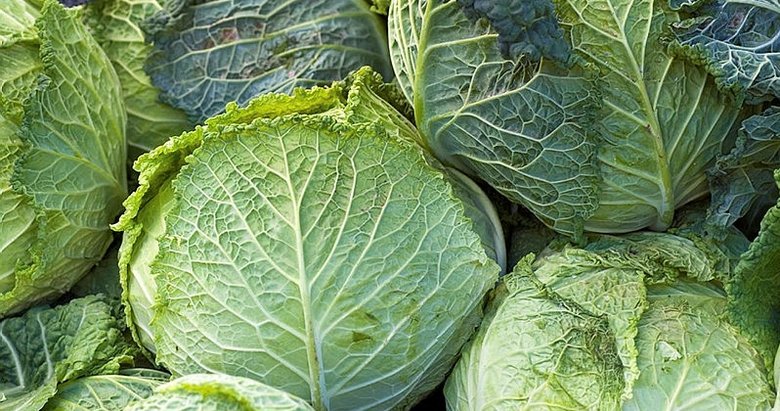 Lahana çorbası ile hızlı zayıflayın