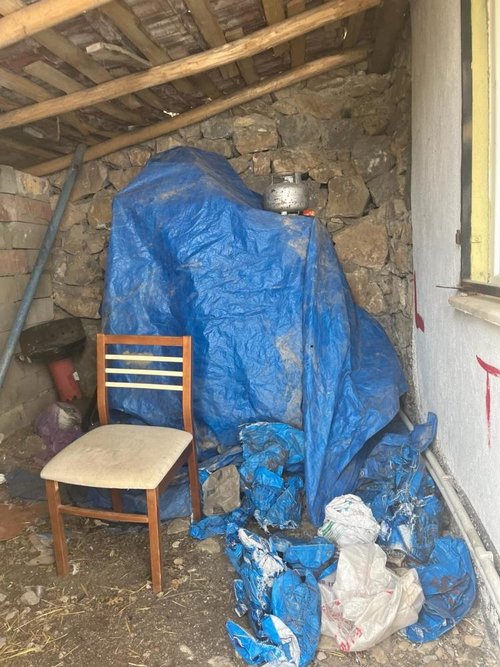 65 yaşındaki firari kadının yetiştirdiği esrar miktarı polisi şoke etti