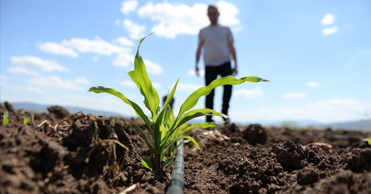 Gübre krizi iddialarına DMM'den yalanlama!