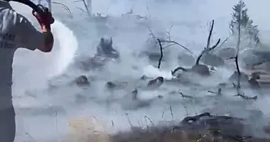 Kütahya’daki orman yangını kontrol altında