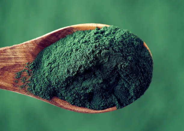 spirulina-zayiflatiyor-mu-1787430712618.png