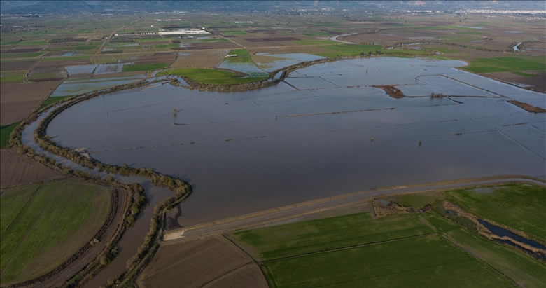 Aydın’da Büyük Menderes Nehri taştı: Tarım arazileri sular içinde kaldı