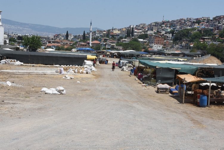 İzmir’de kurbanlık satış yerleri nereler? Kurbanlık fiyatları ne kadar? İşte detaylar...
